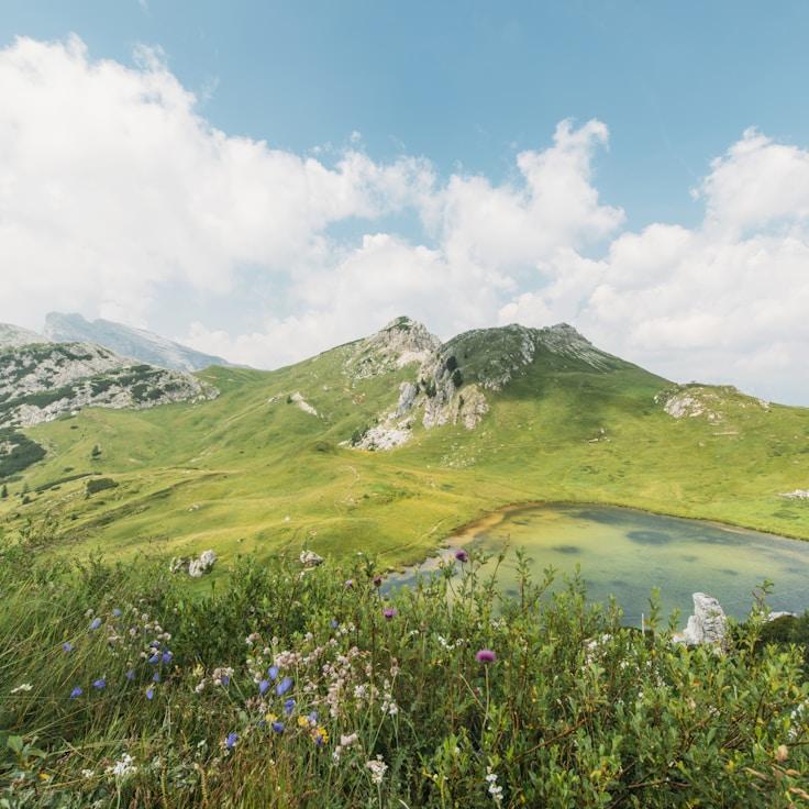 Alpine wilderness panorama